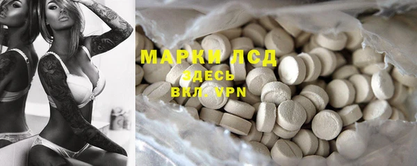 spice Инта