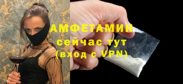 spice Инта
