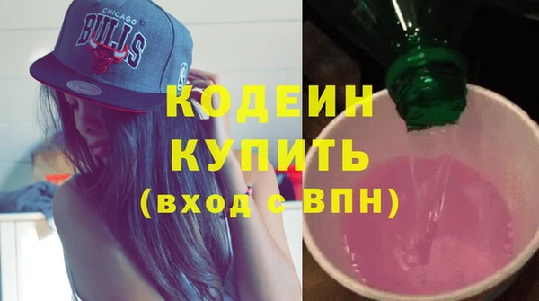 spice Инта