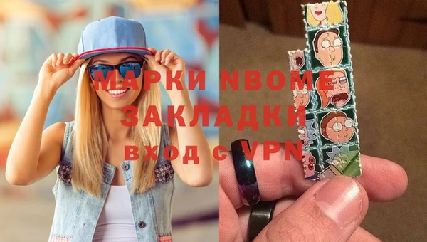 spice Инта
