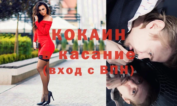 spice Инта