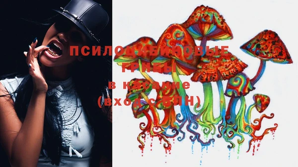 МДПВ Иннополис