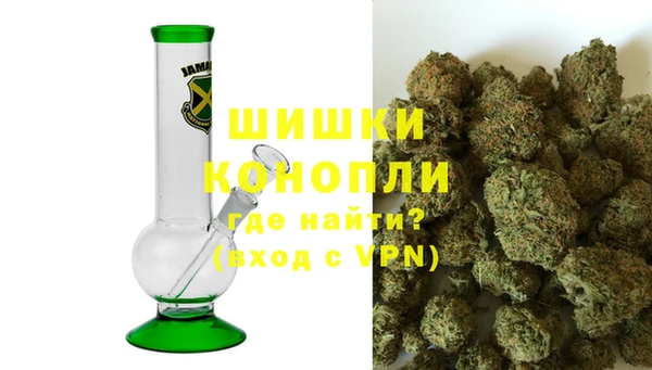 spice Инта