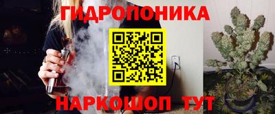 спиды Можга