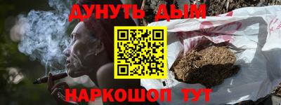 гидра Моздок