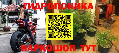 спиды Можга