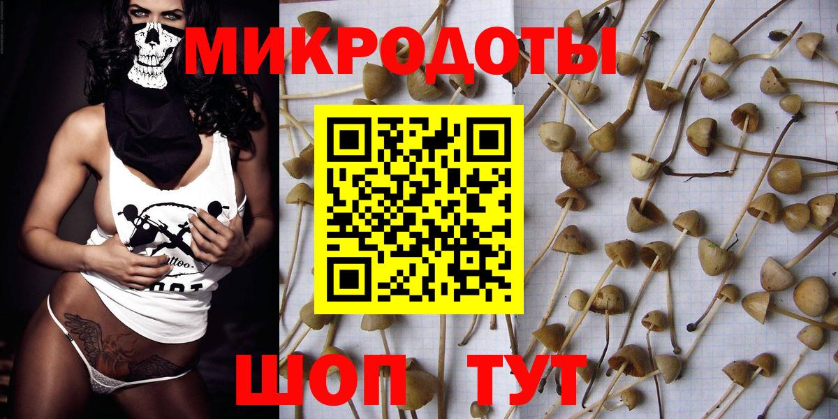 Рязань  Псилоцибиновые грибы GOLDEN TEACHER  Вход с VPN 