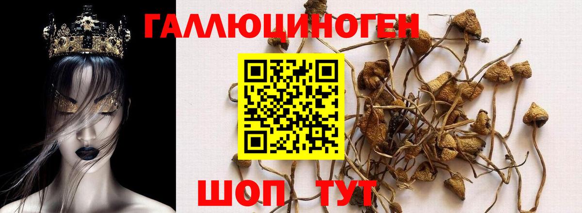 Галлюциногенные грибы мухоморы Рязань